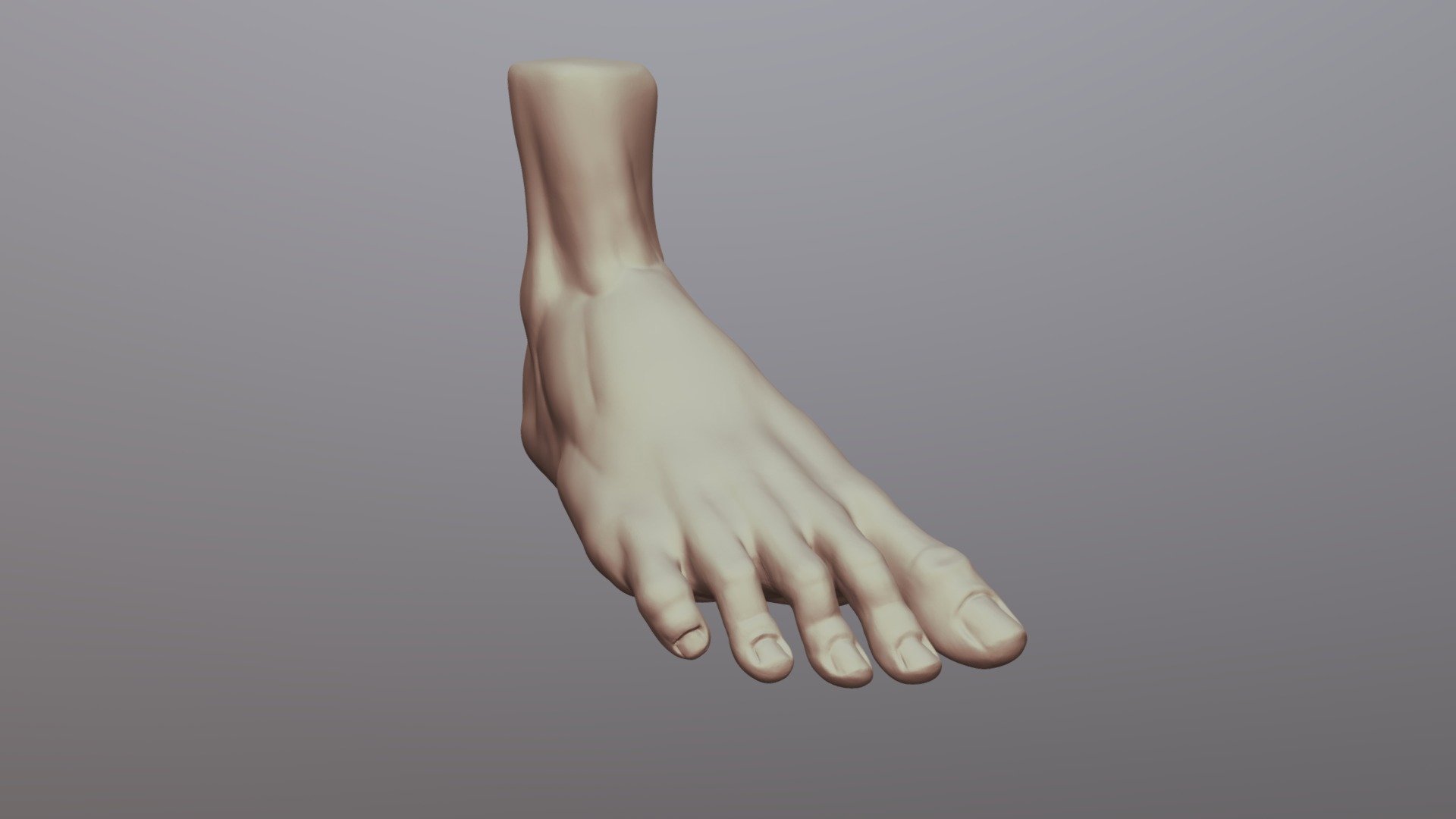 Foot