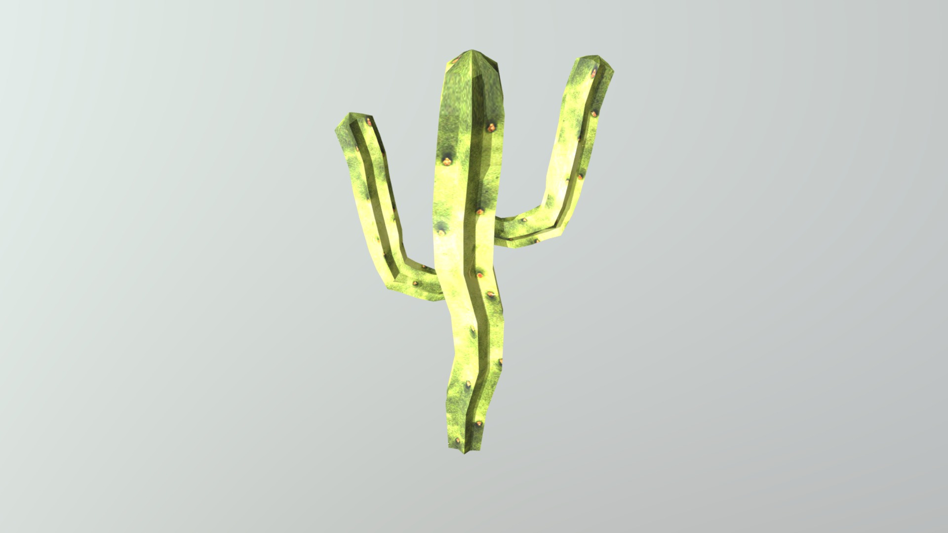 Cacto 1 - 3D model by Pedro.Goulart [435d139] - Sketchfab