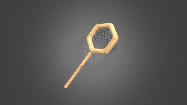 NET 3D Model