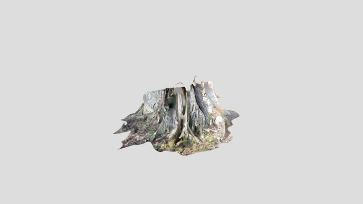 Big fig 3D Model
