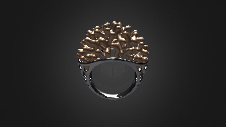 Coraline ring 3D Model