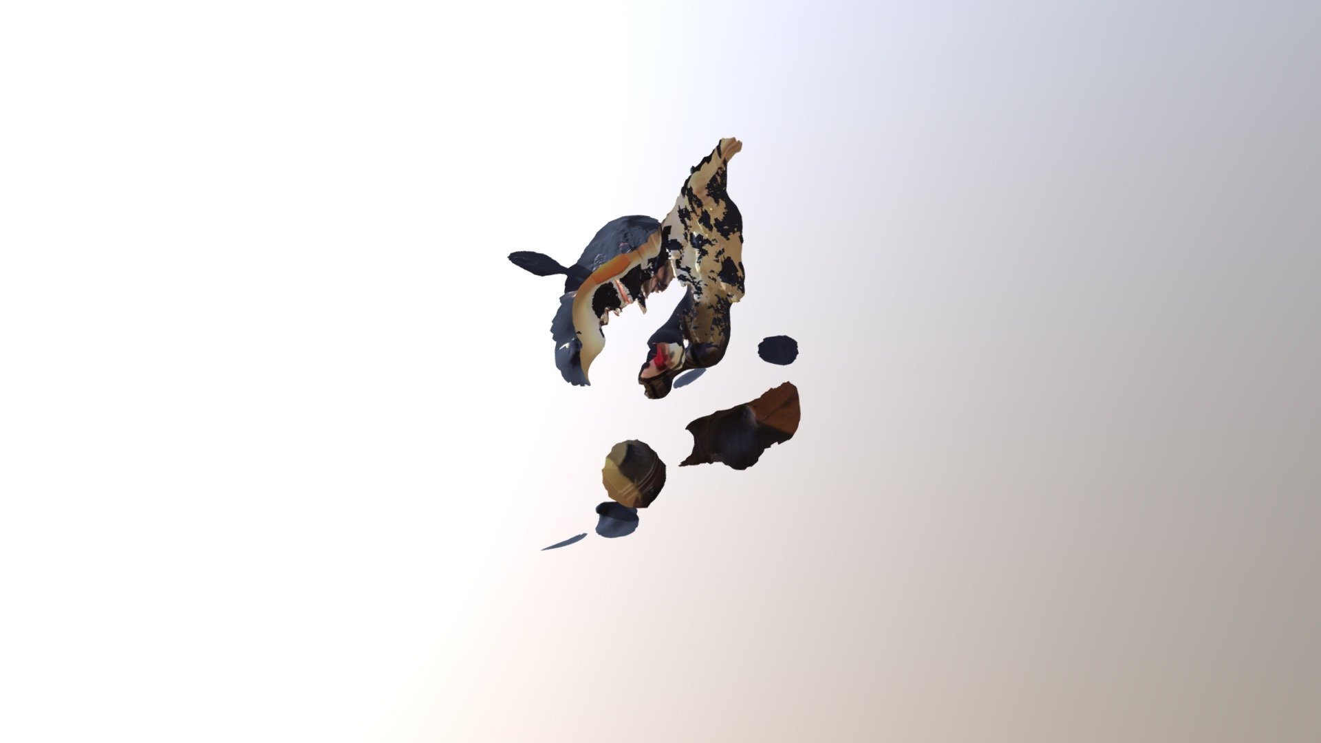 test scan - 3D model by matthewp [43617b5] - Sketchfab