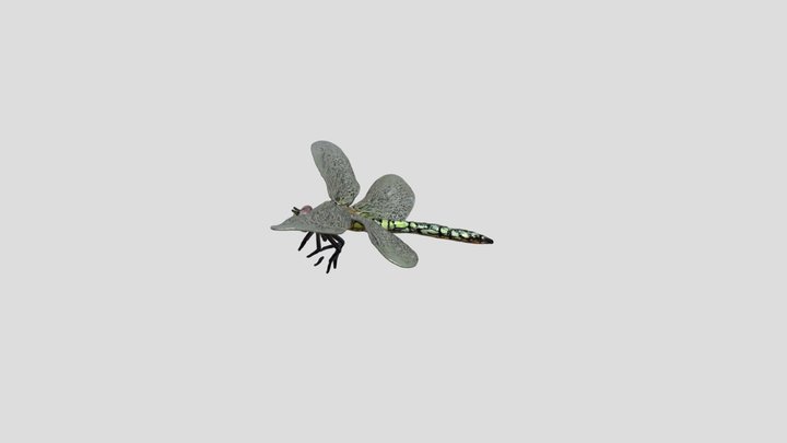 Odonatos – Modello 3D gratuito STL