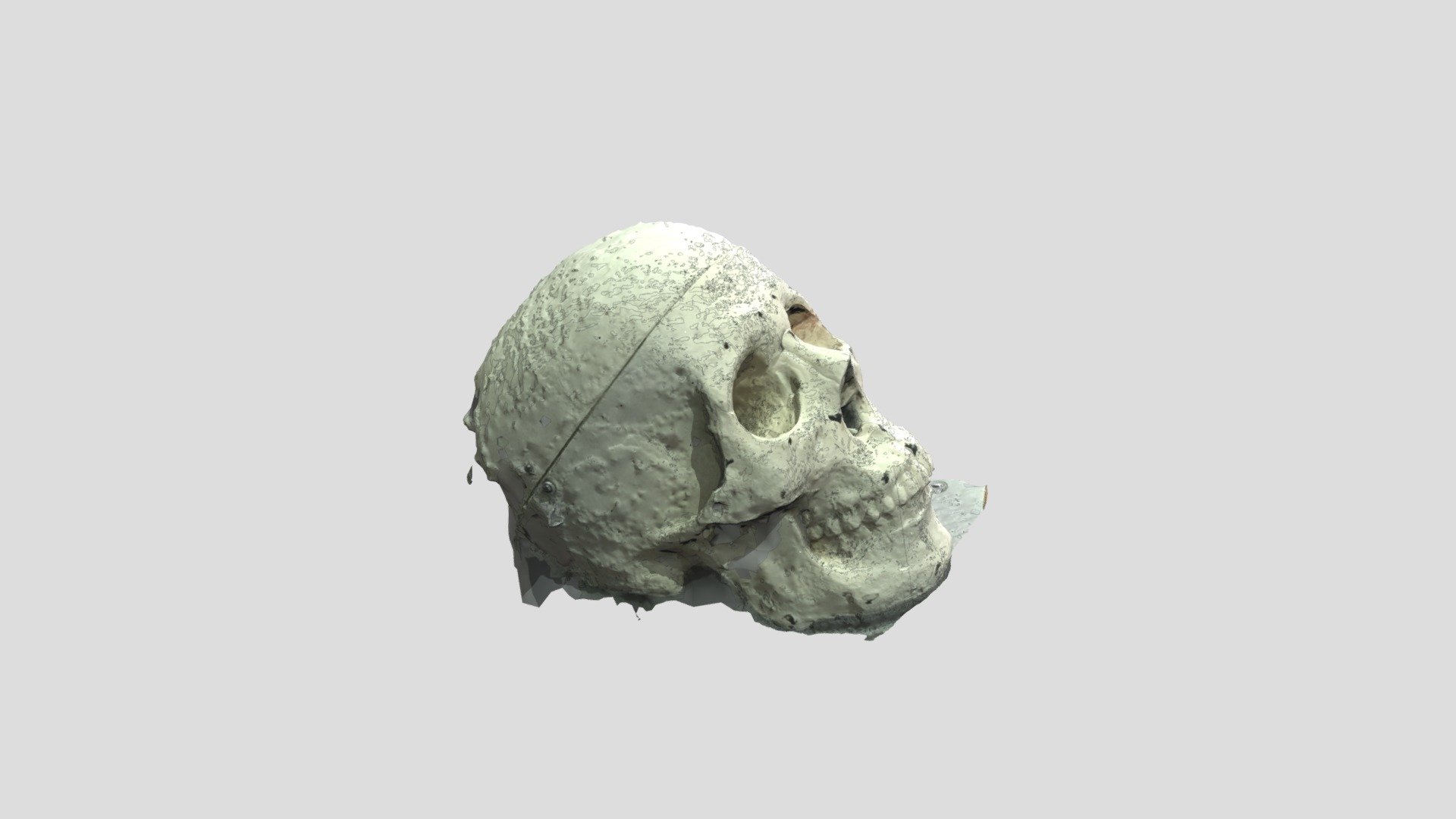 skull2
