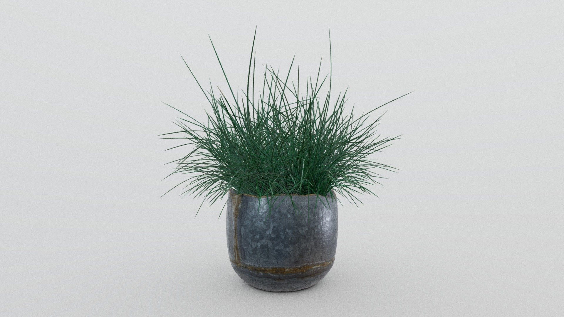 Grass in a plant pot