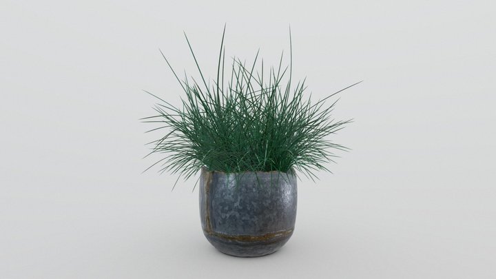 Grass in a plant pot 3D Model