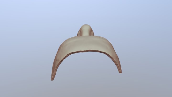 Uniform thickness bolus 3D Model