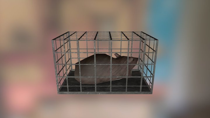 Animal Cage 3D Model