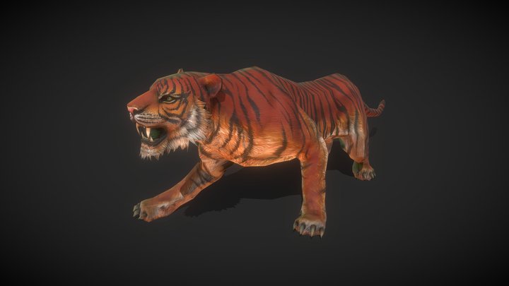 Animals: Tiger 3D Model