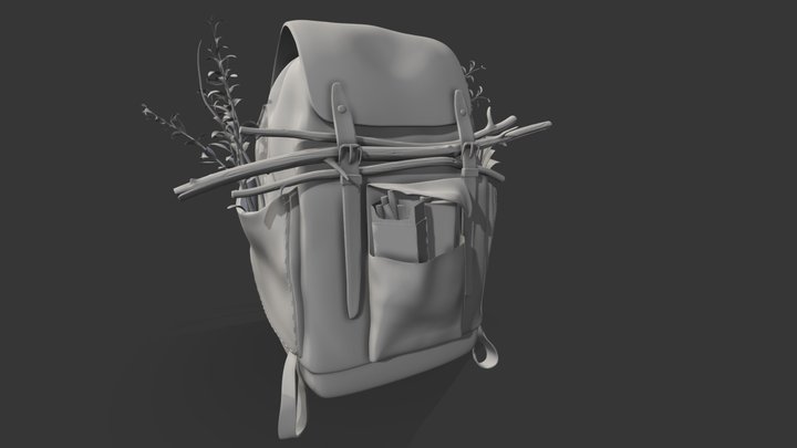 Adventures Camp Asset: Backpack 3D Model