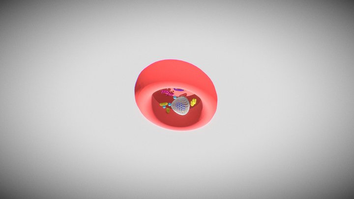 Red Blood Cell 3D Model
