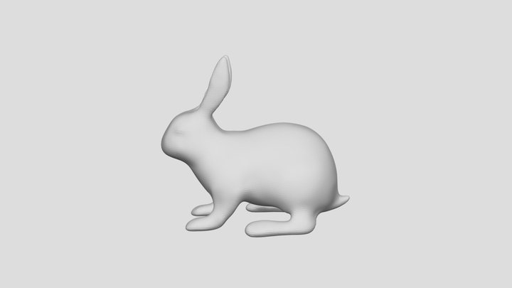 bunny