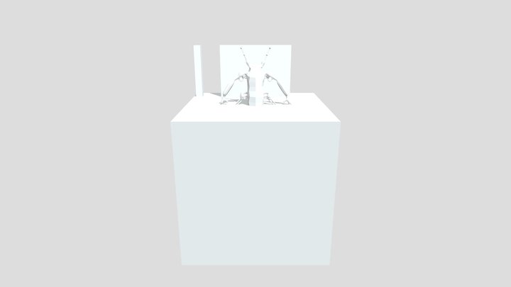 Desafio Generico_ROBOT SKIN 3D Model
