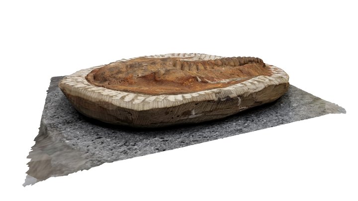 Trilobite01 3D Model