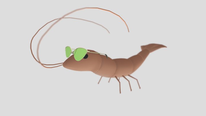Shrimp and her glasses 3D Model