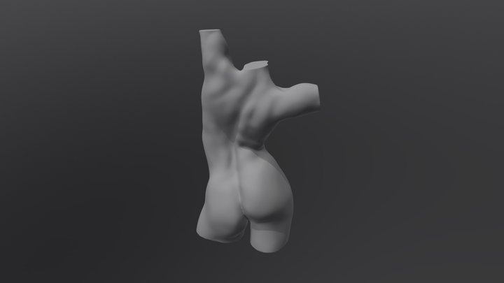 Female Bust 1 3D Model