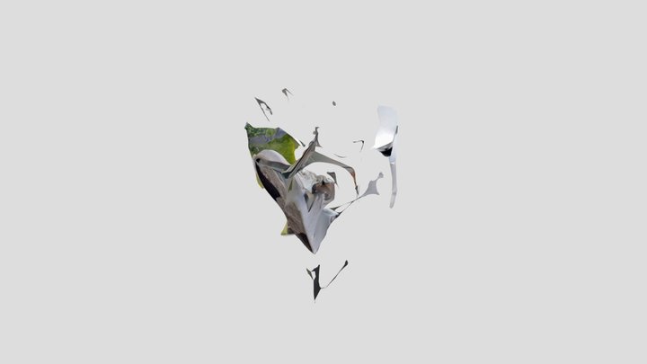 2324_MDL2_KochuytI_3DSCAN_6 3D Model