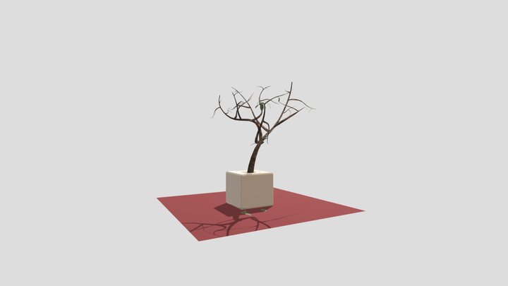 Dying Plant Model 3D Model