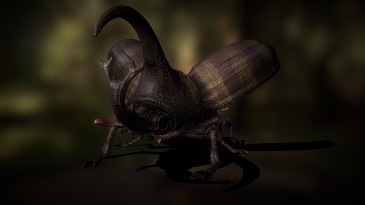 Hercules Beetle 3D Model