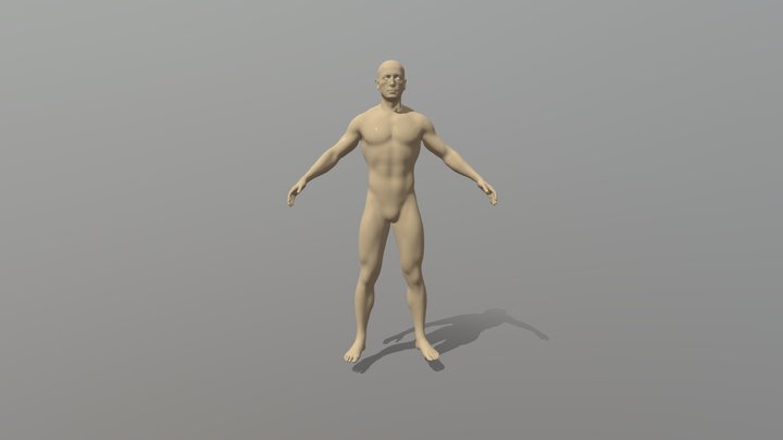 human 3D Model