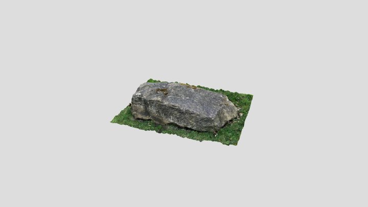 Stone on a grass slope 3D Model