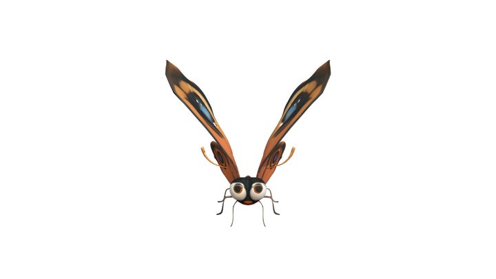 Cartoonish butterfly with large eyes 3D Model