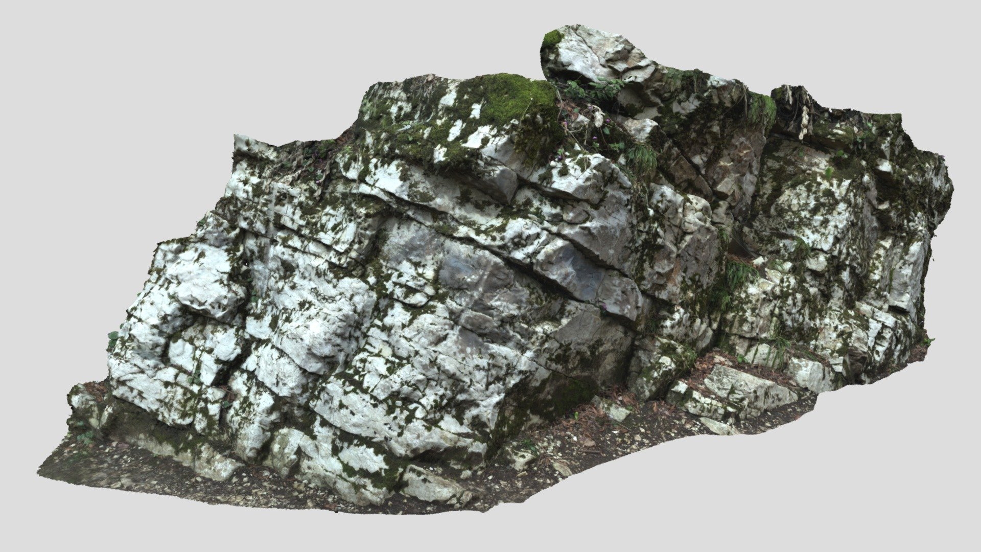 Mossy Stone 02 | Scan | Mid Poly |