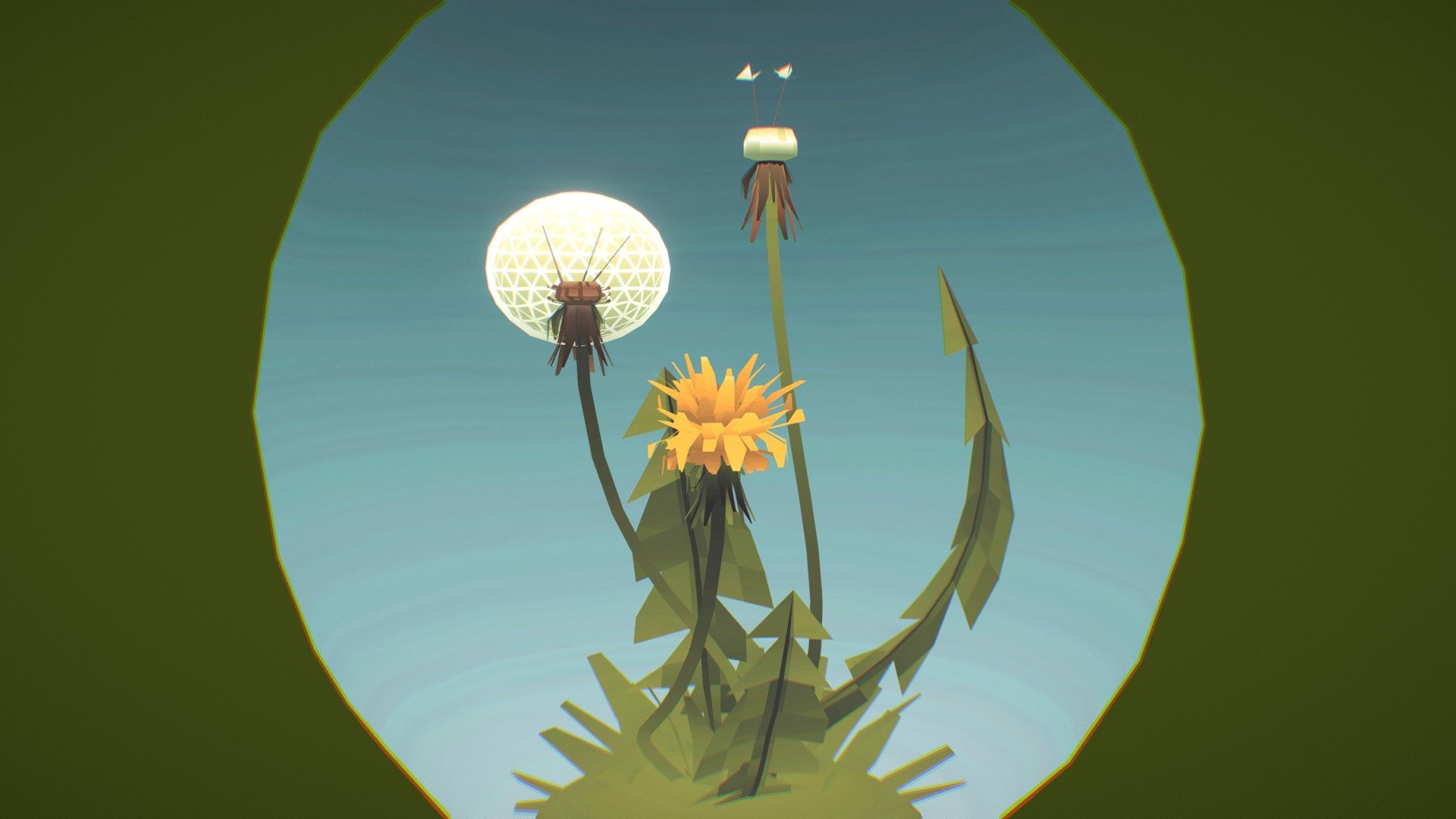 Dandelion plant