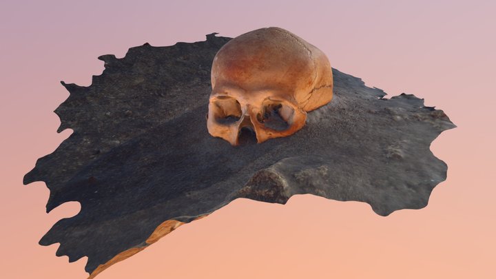 Sac Uayum Skull1 Simplified 3d Mesh 3D Model