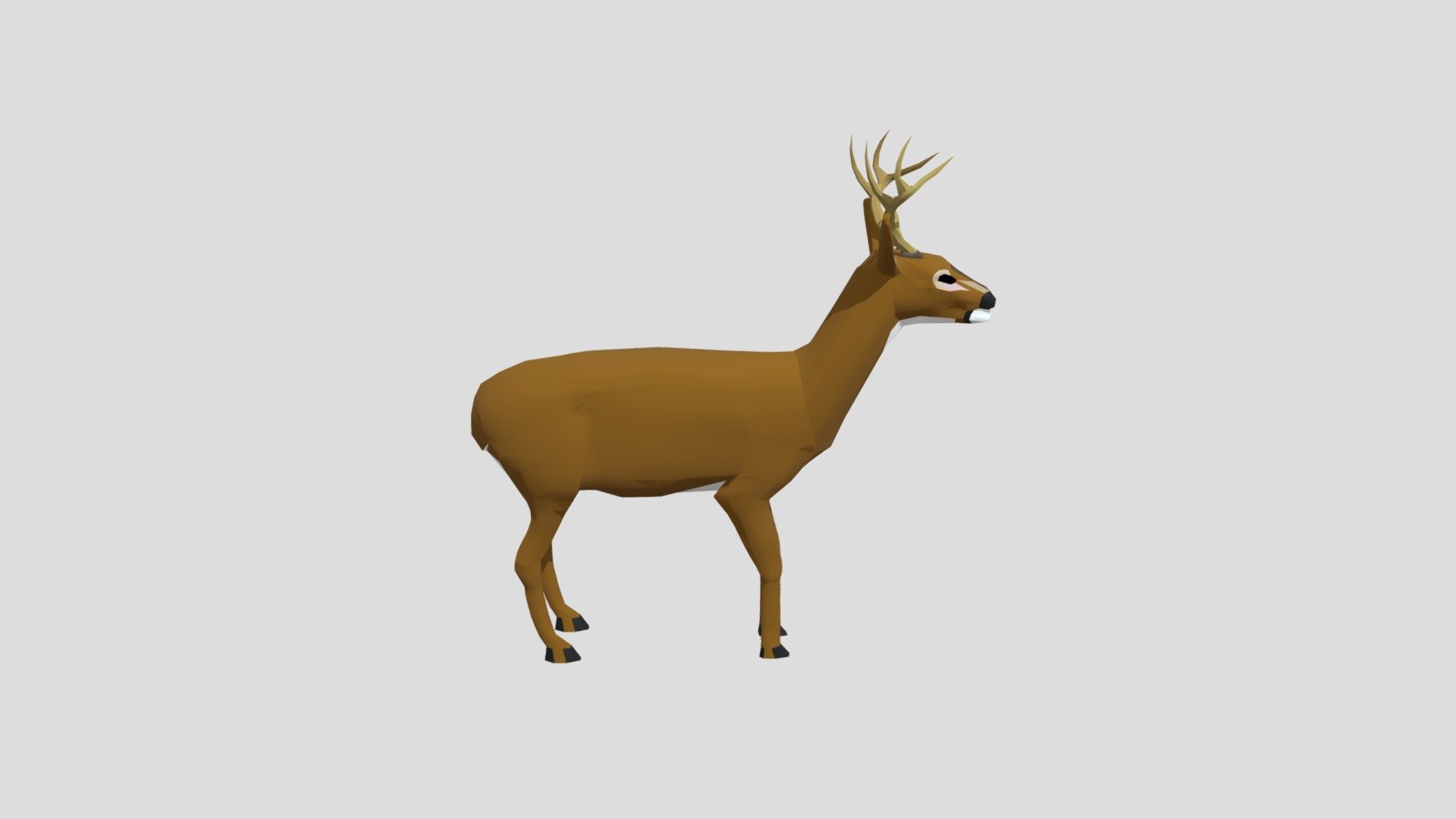 Deer