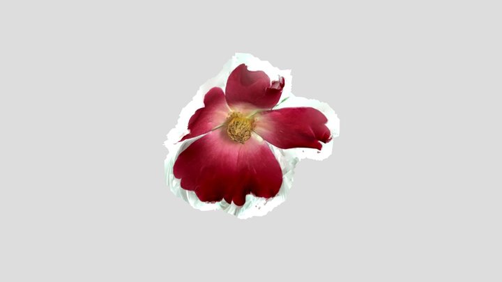 flower 3D Model