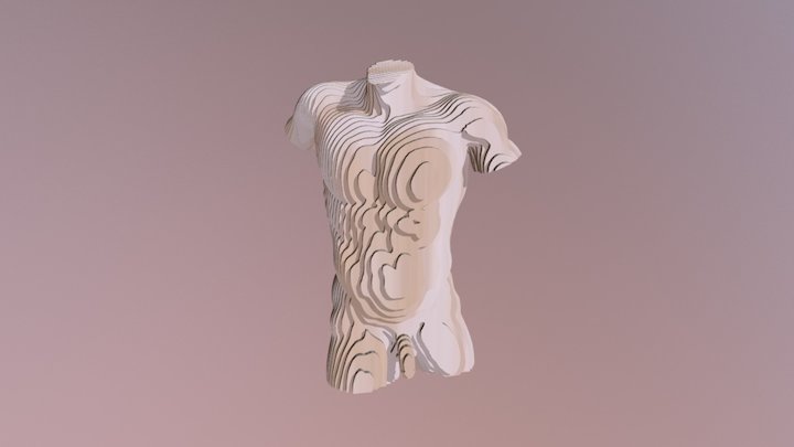 Male Torso pumped 3D Model