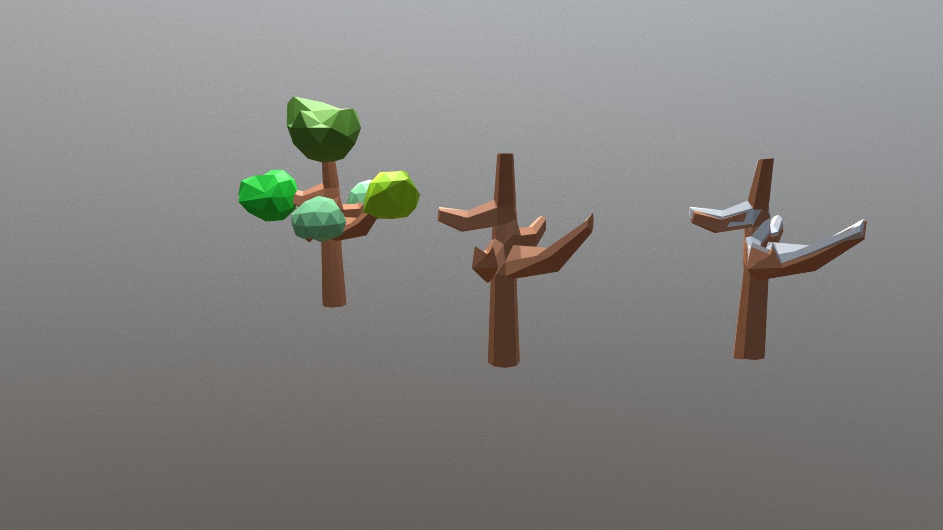 Albero Autunno Inverno