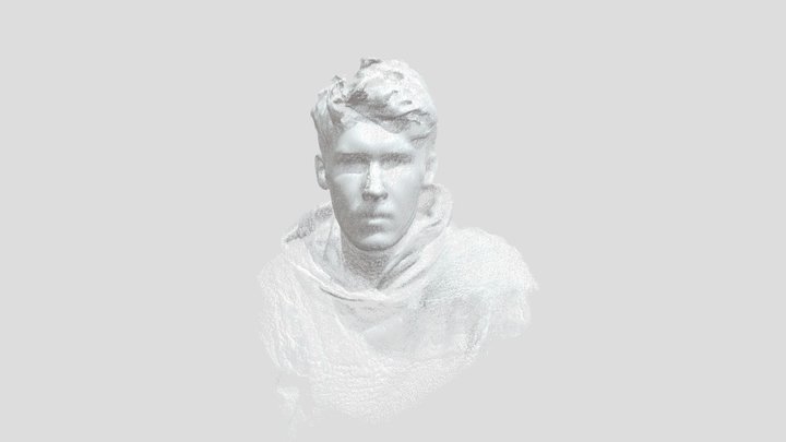 Point cloud portrait test – Gratis 3D-model STL