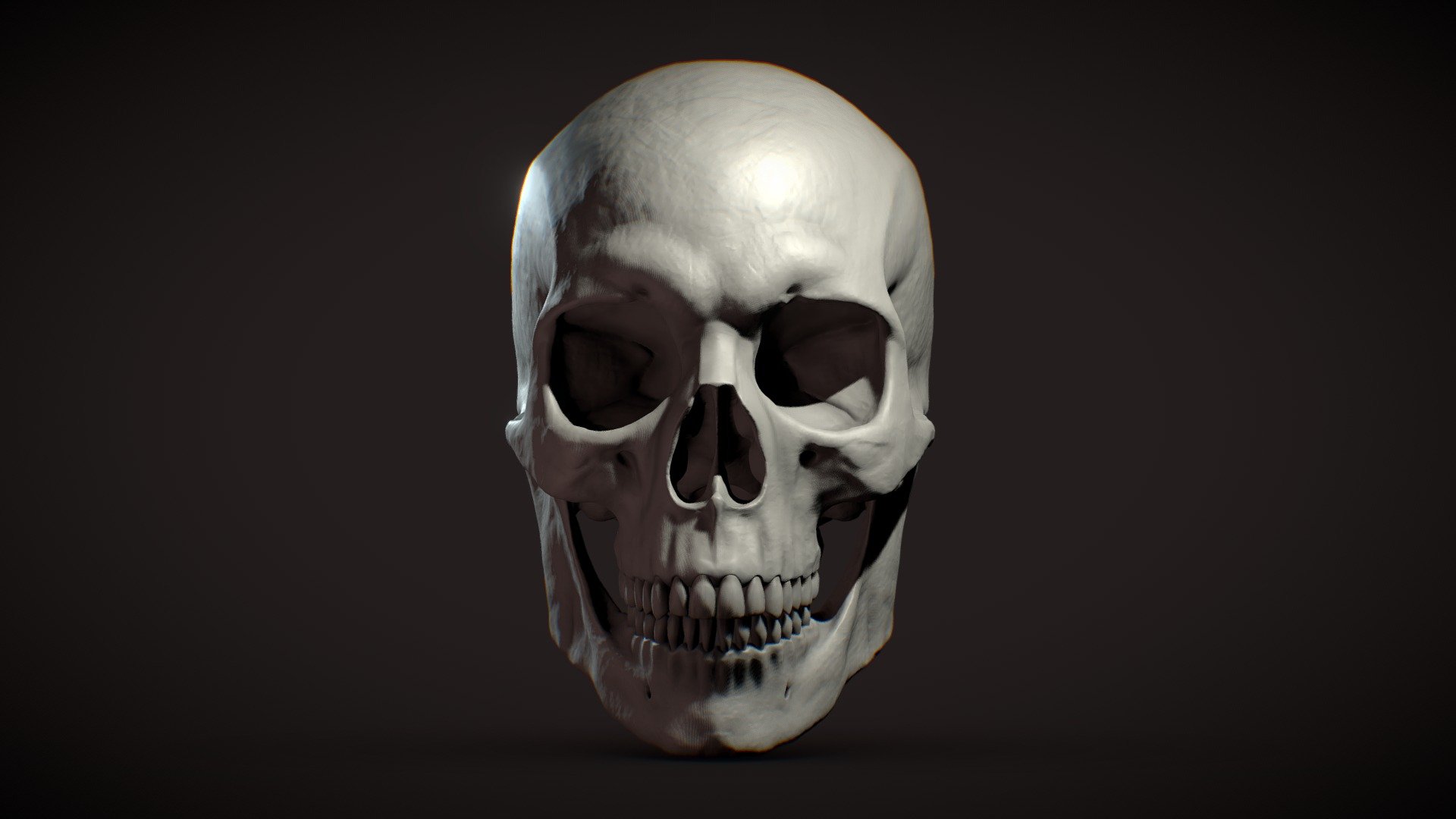 Skull Decimated V001 3D model by mathewdc (mathewdc