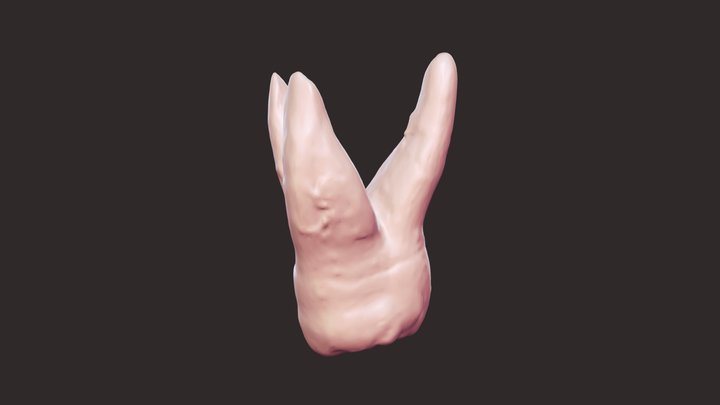 Tb 3a 3D Model