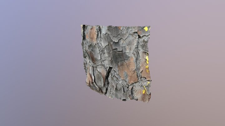 Longleaf pine bark 1300 3D Model