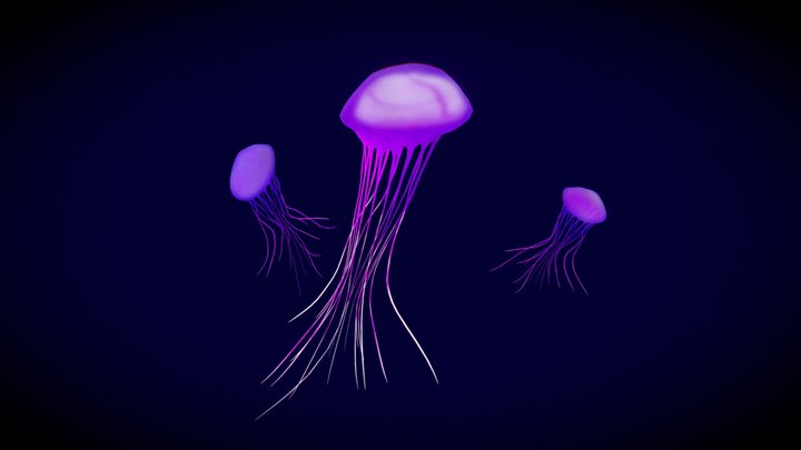 Sea-creature 3D models - Sketchfab