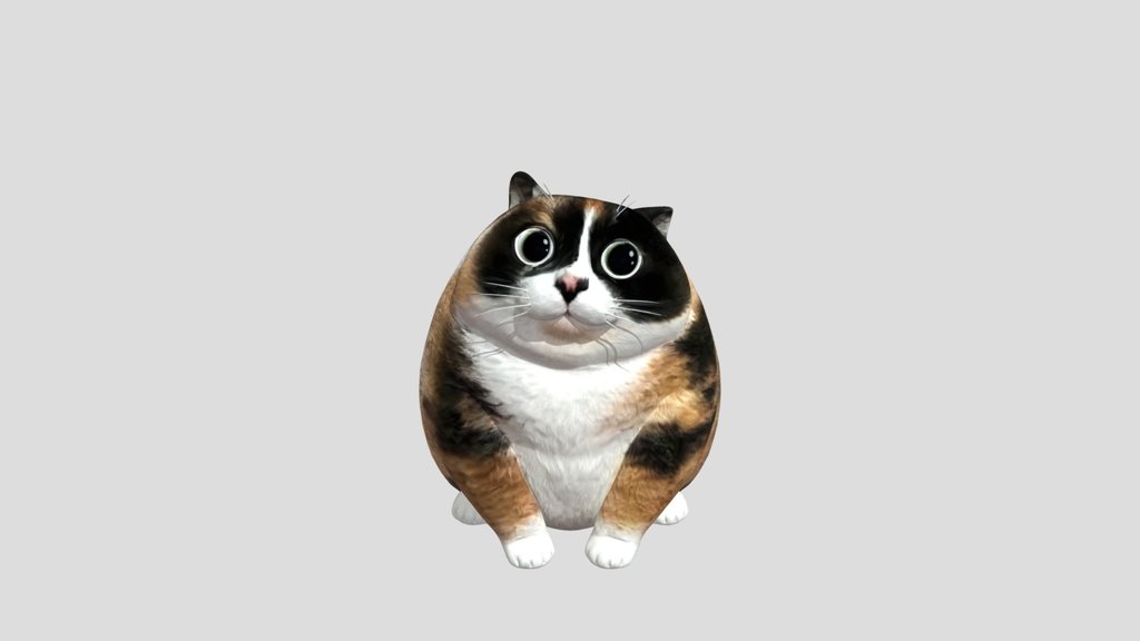 Big-Eyed Calico