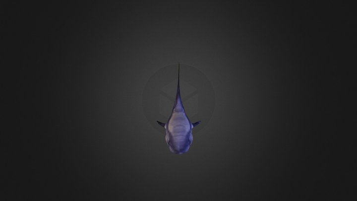 White shark 3D Model