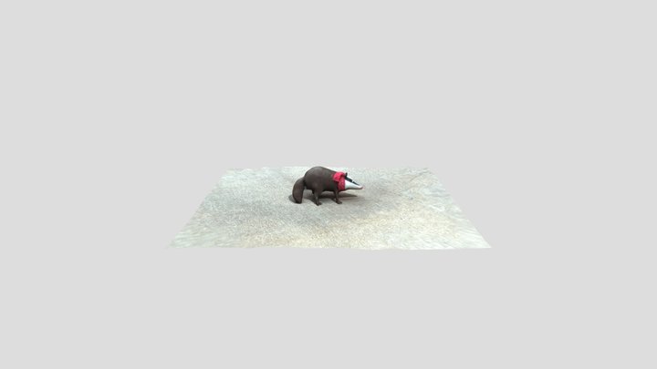 Poly 2024 3D Model