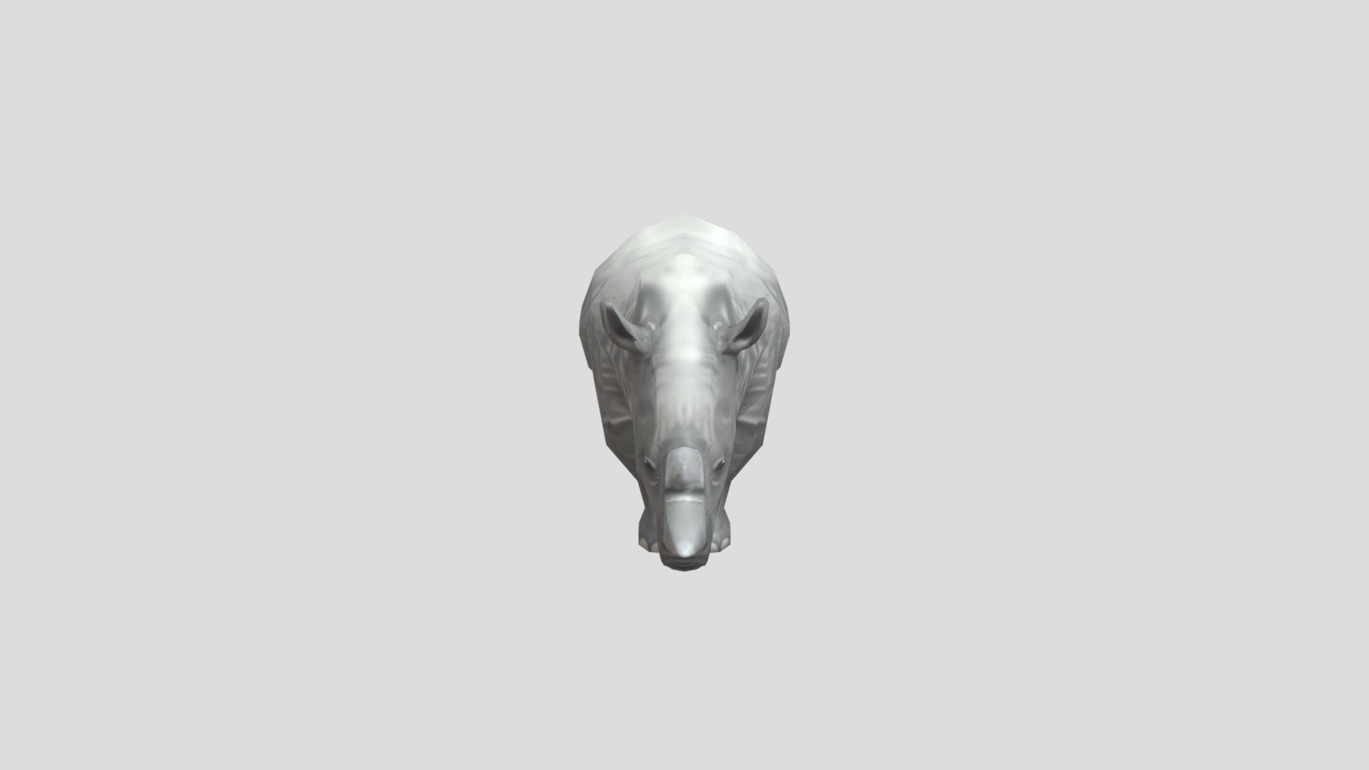 White Rhinoceros