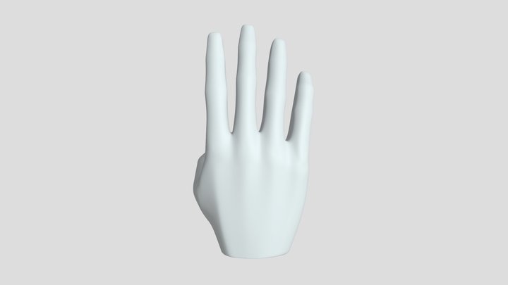 Hand 3D Model