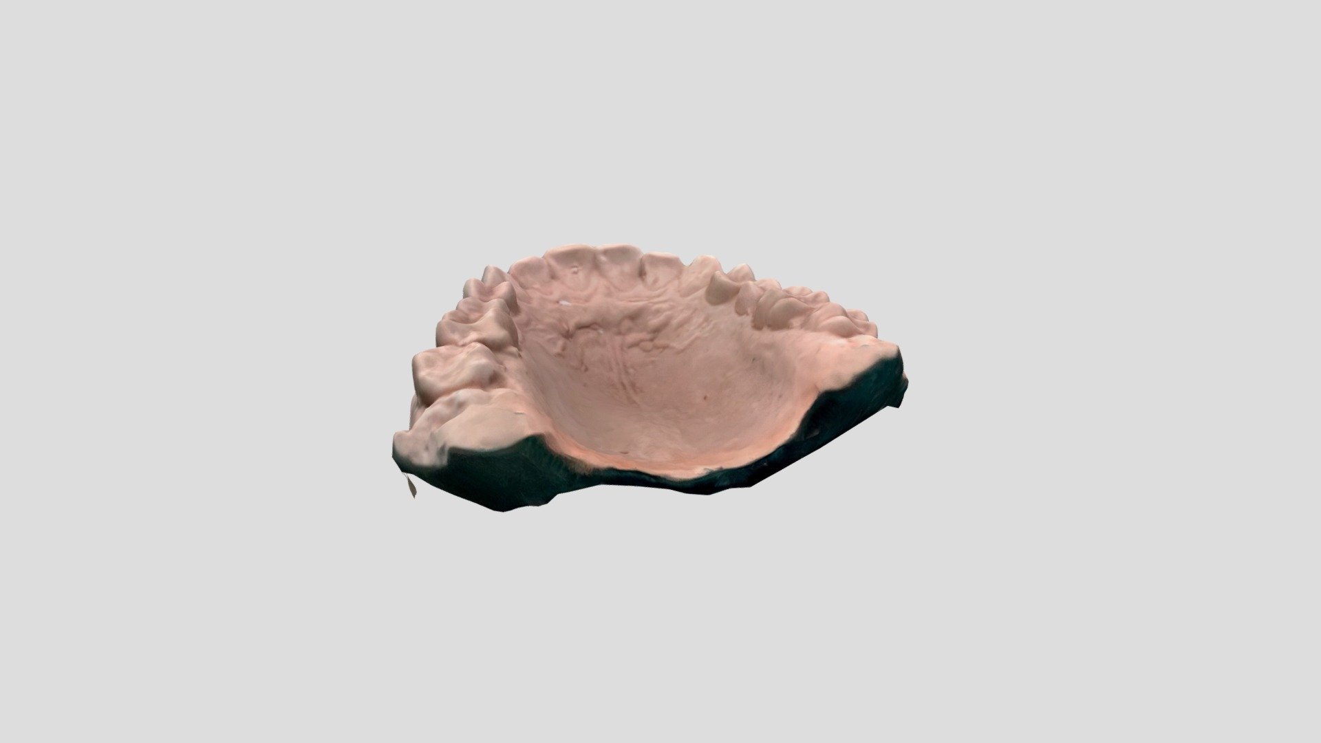 Polycam capture