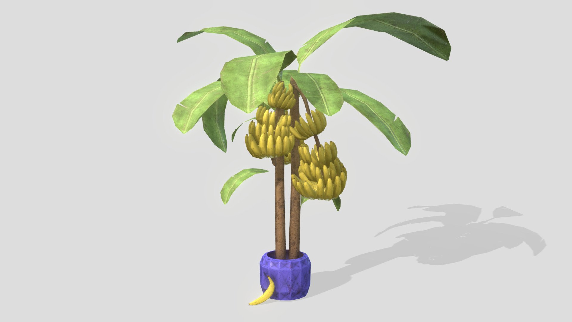 Banana Tree - Download Free 3D model by Duznot (@duz_vr) [43b0a0c ...