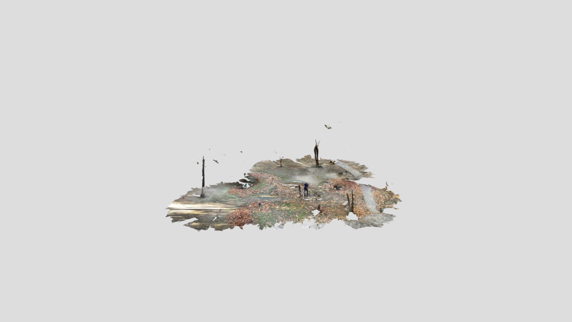 Untitled Scan
