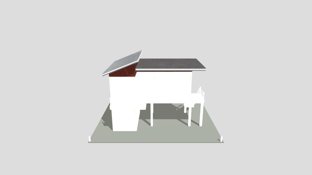 Modern Elevated House