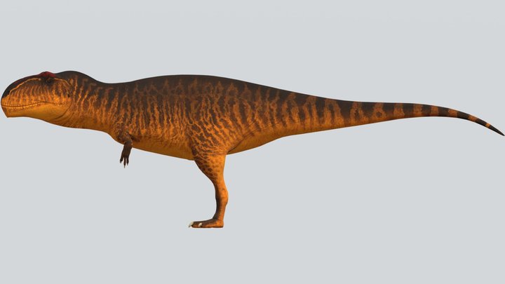 Accurate Giganotosaurus Textures V2 – Free 3D Model STL