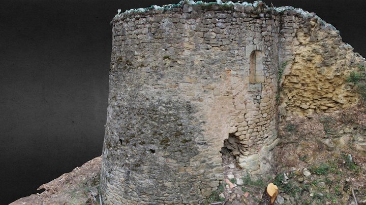 Château des Toulouse-Lautrec, Montfa (81)