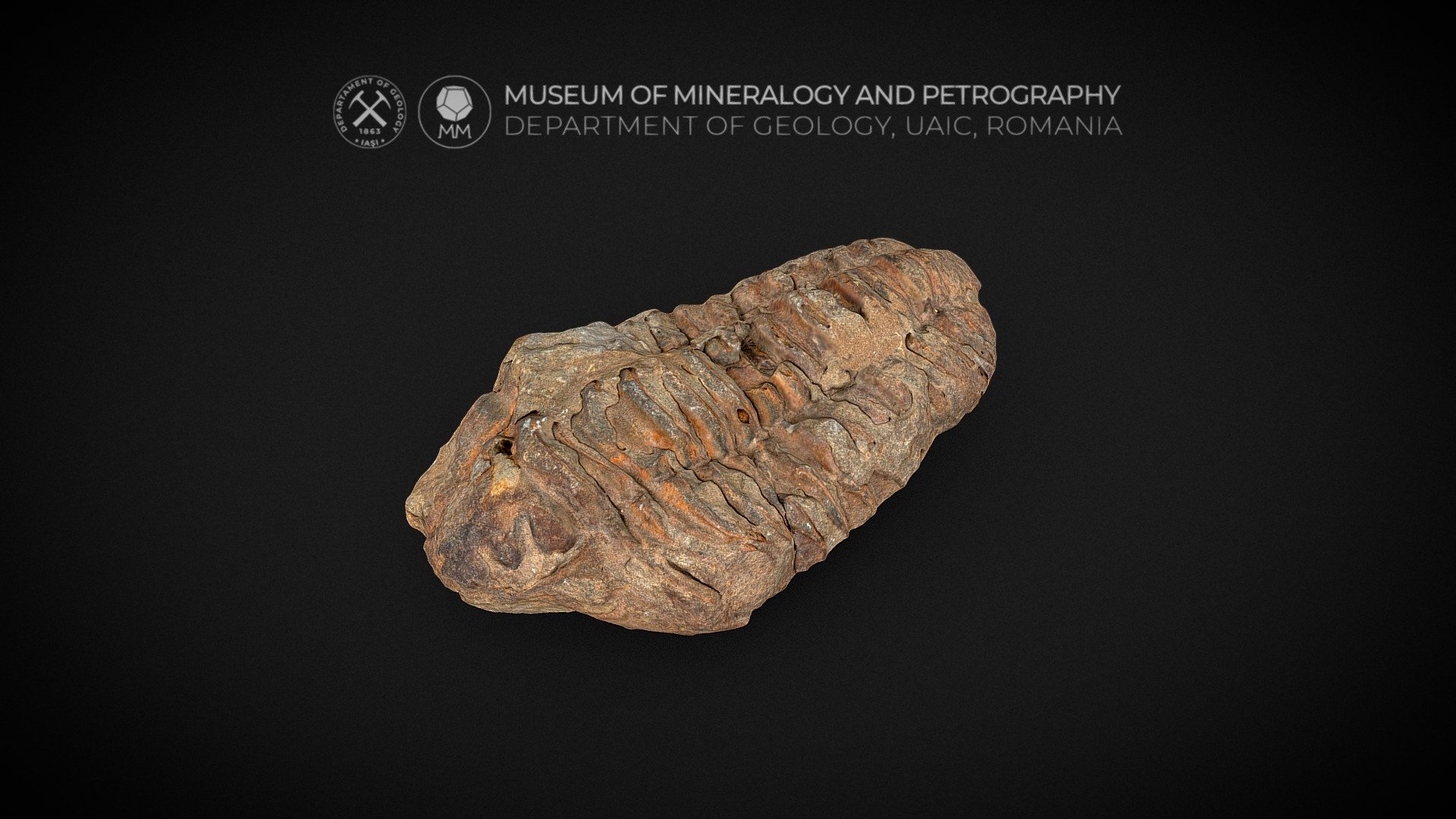 Trilobite - 3D model by Museum of Mineralogy and Petrography, UAIC ...